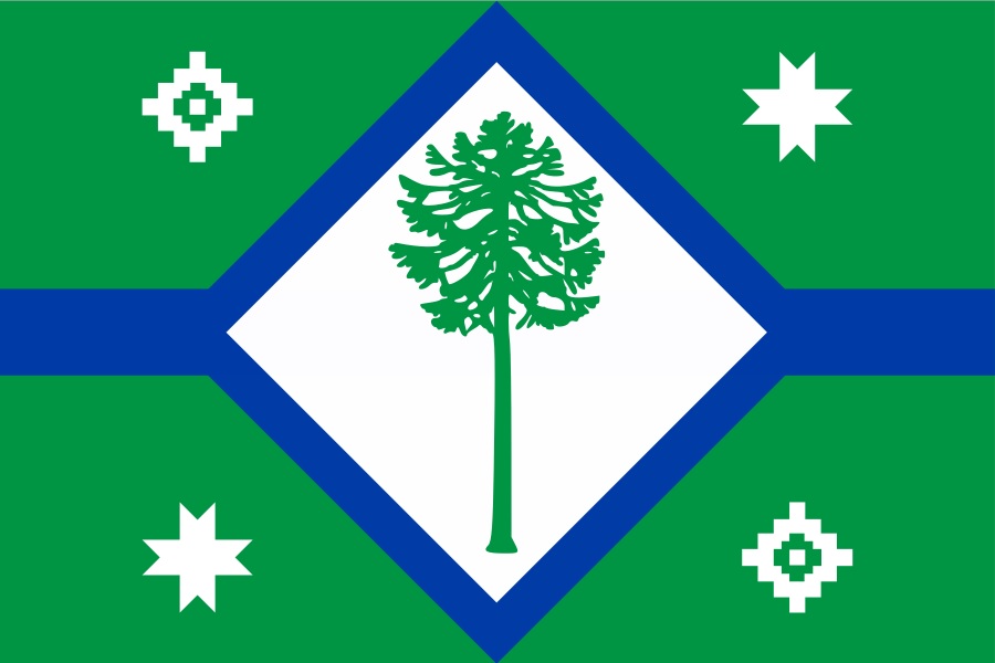 REGION DE ARAUCANIA